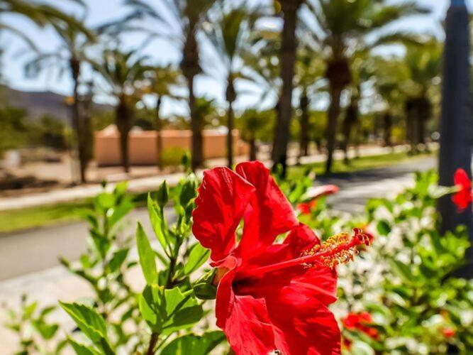 Belvilla By Oyo Chalet En Tuineje Para 6 Personas Εξωτερικό φωτογραφία